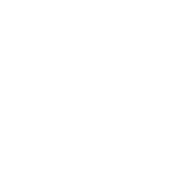logo 1 step